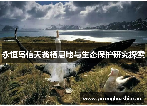 永恒岛信天翁栖息地与生态保护研究探索